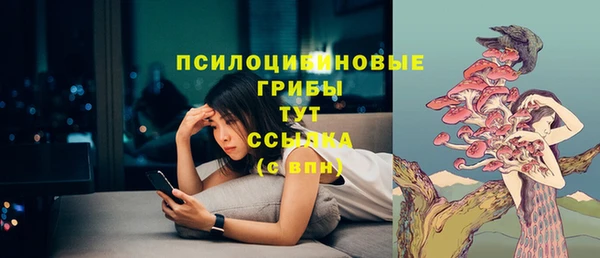 spice Алексеевка