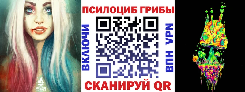 Галлюциногенные грибы Cubensis  Обнинск 